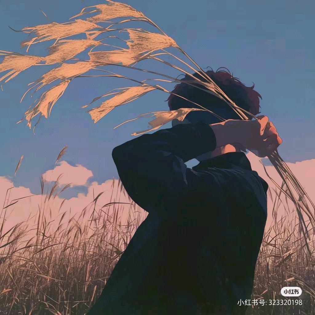 愚蠢的狐狸