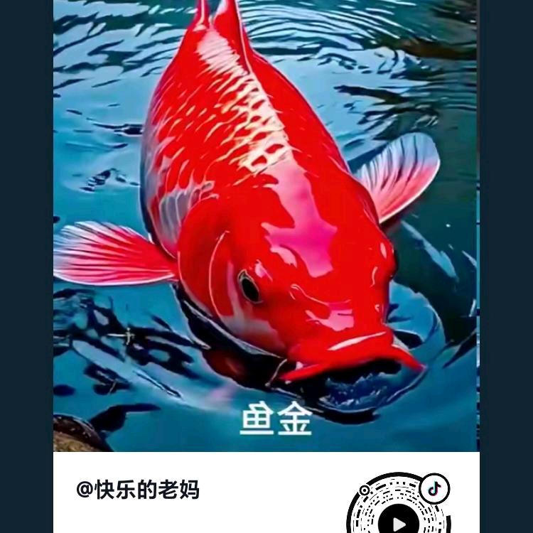 平安才是福，己经轮回，取舍两难