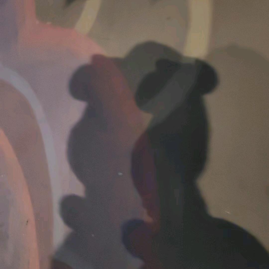 今天它们在干什么呢？