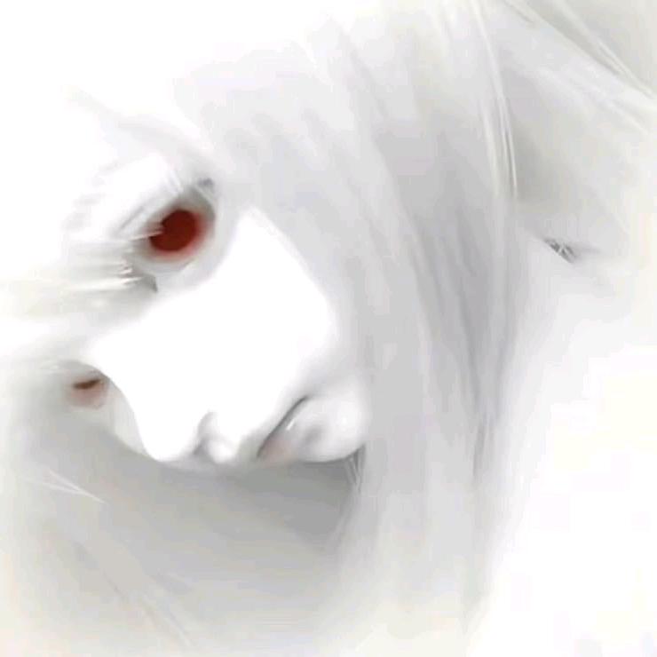 喵喵喵（毛娘求约版）