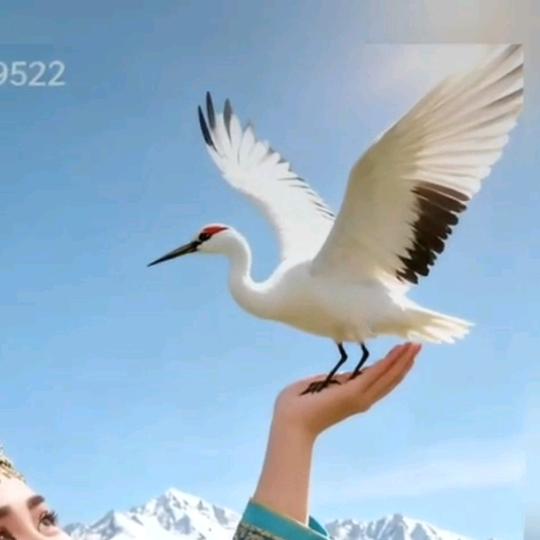 美合日古丽 😘