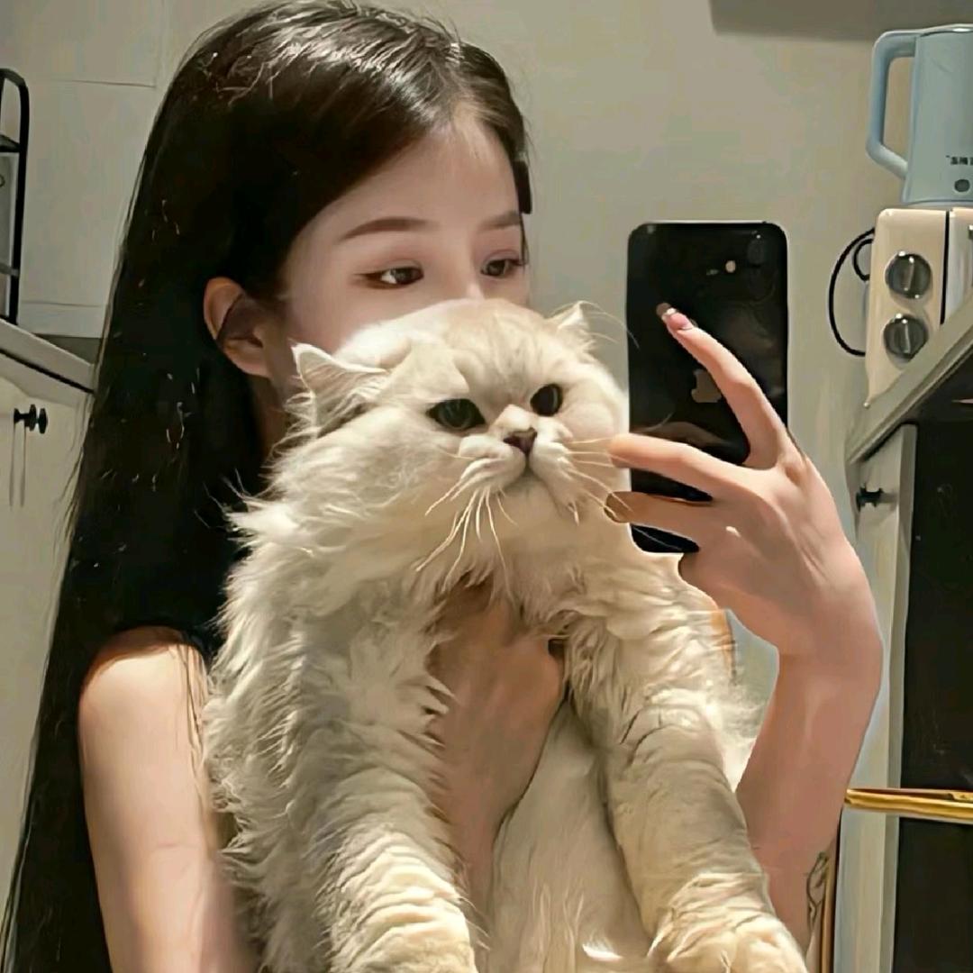 【    小仙女 💫