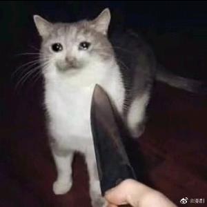 一只忧郁的猫
