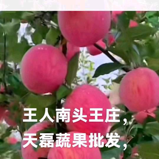 吉祥如意