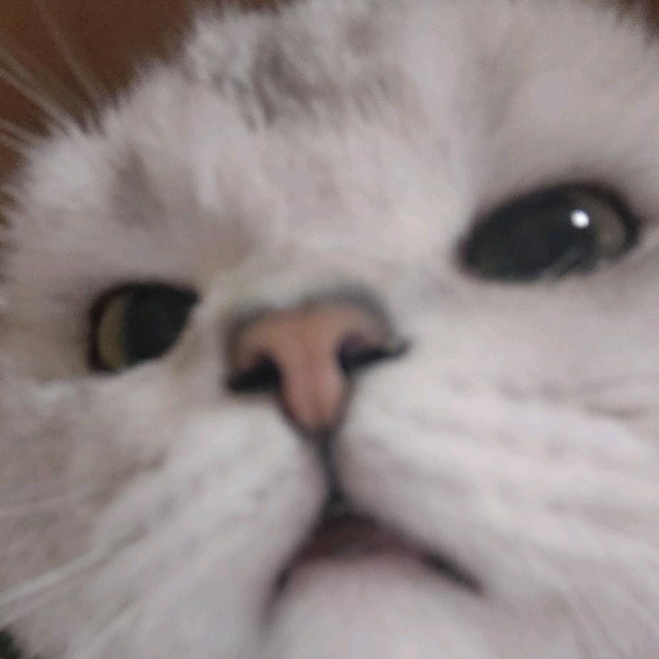 裴民安