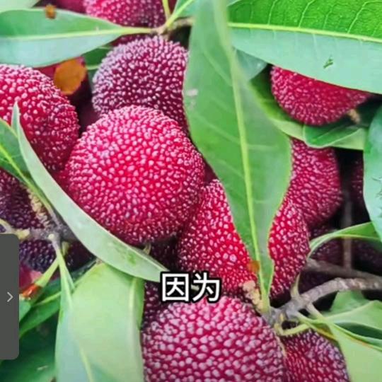 良