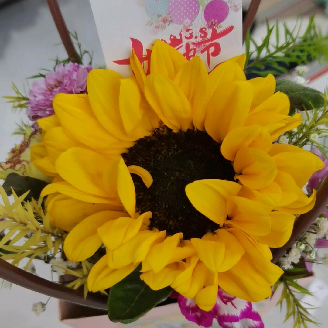 时光清浅