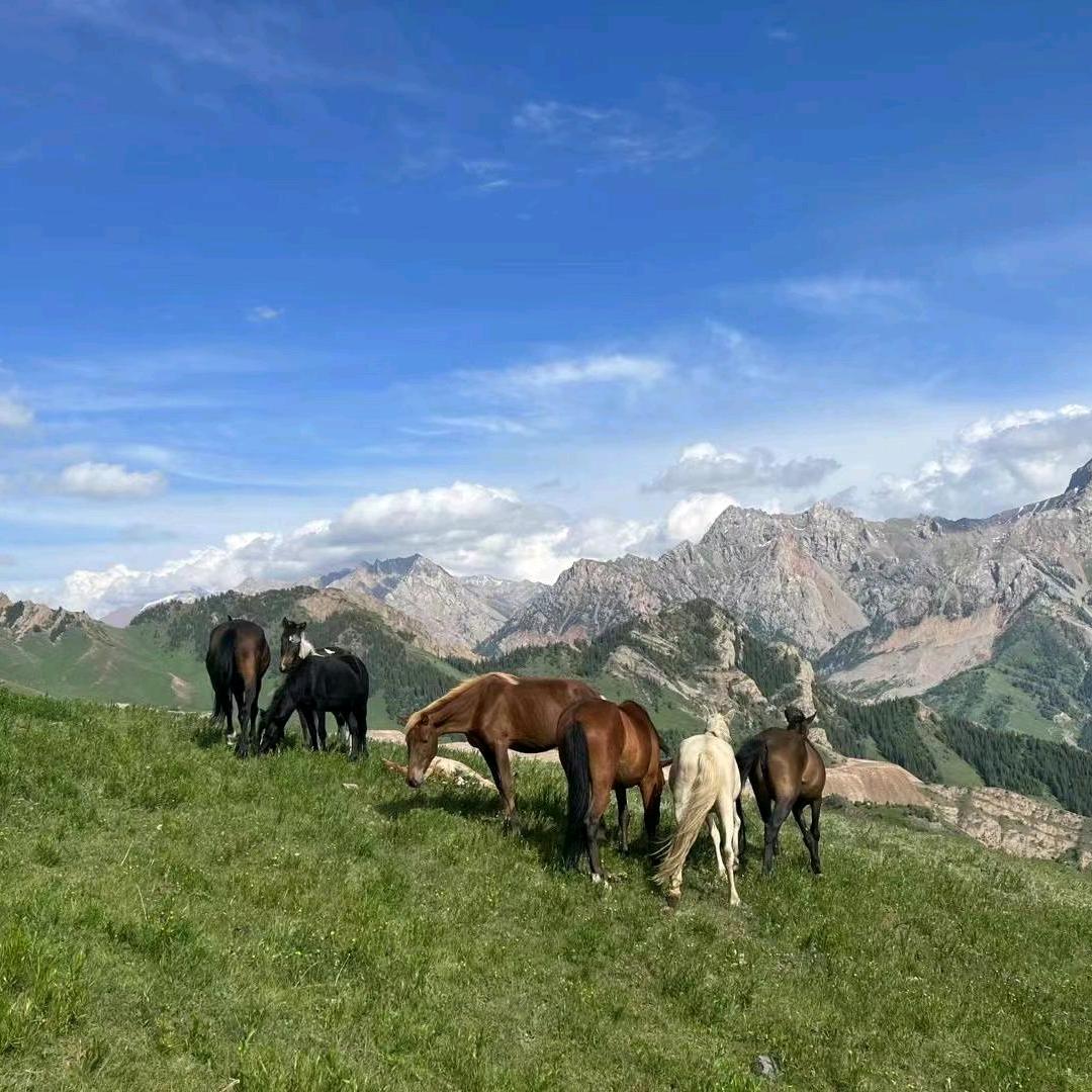 沙漠之鹰小付用户823926