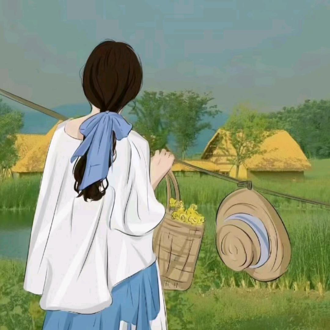 杨钵衣