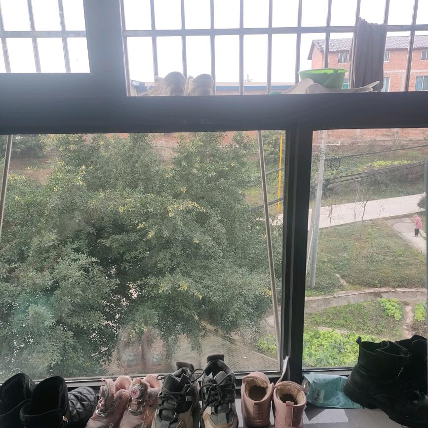 小庆有声书（s徒）