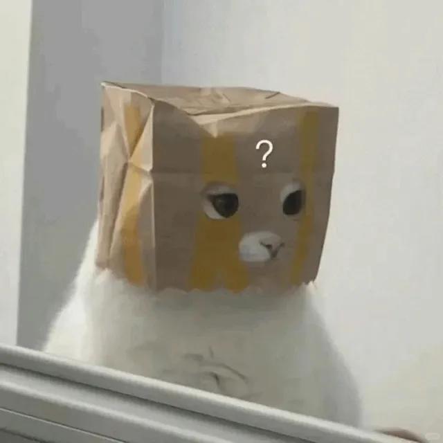 淇堆