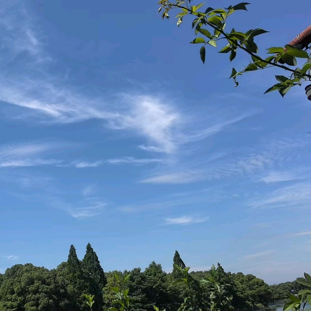 哥傲奈我何？