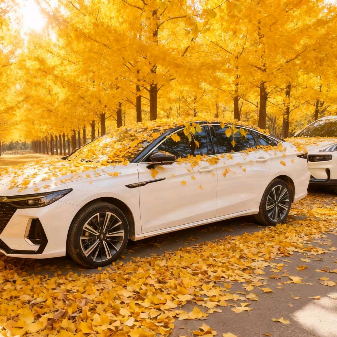 𝑨𝑹𝑹𝑰𝒁𝑶⁸