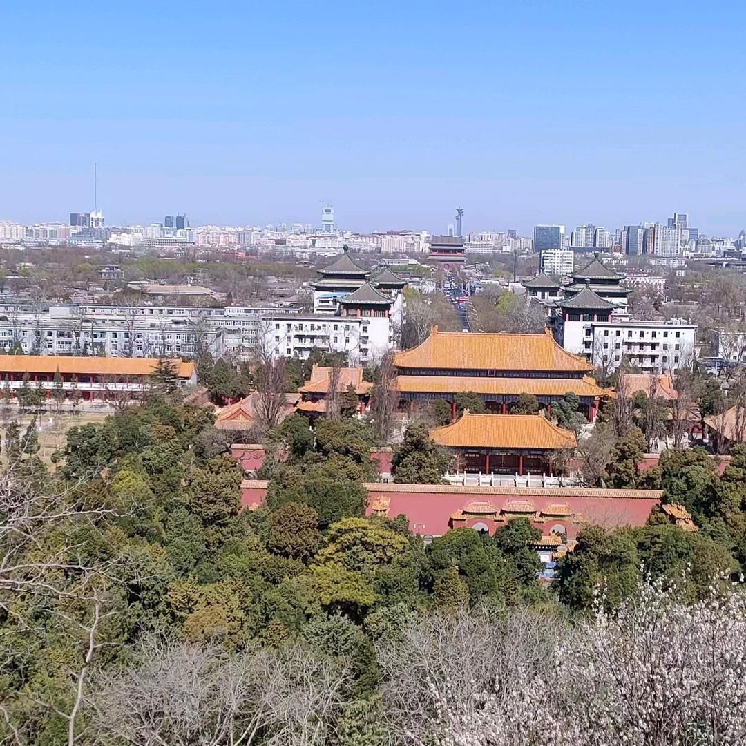 用户9060028339324枫叶