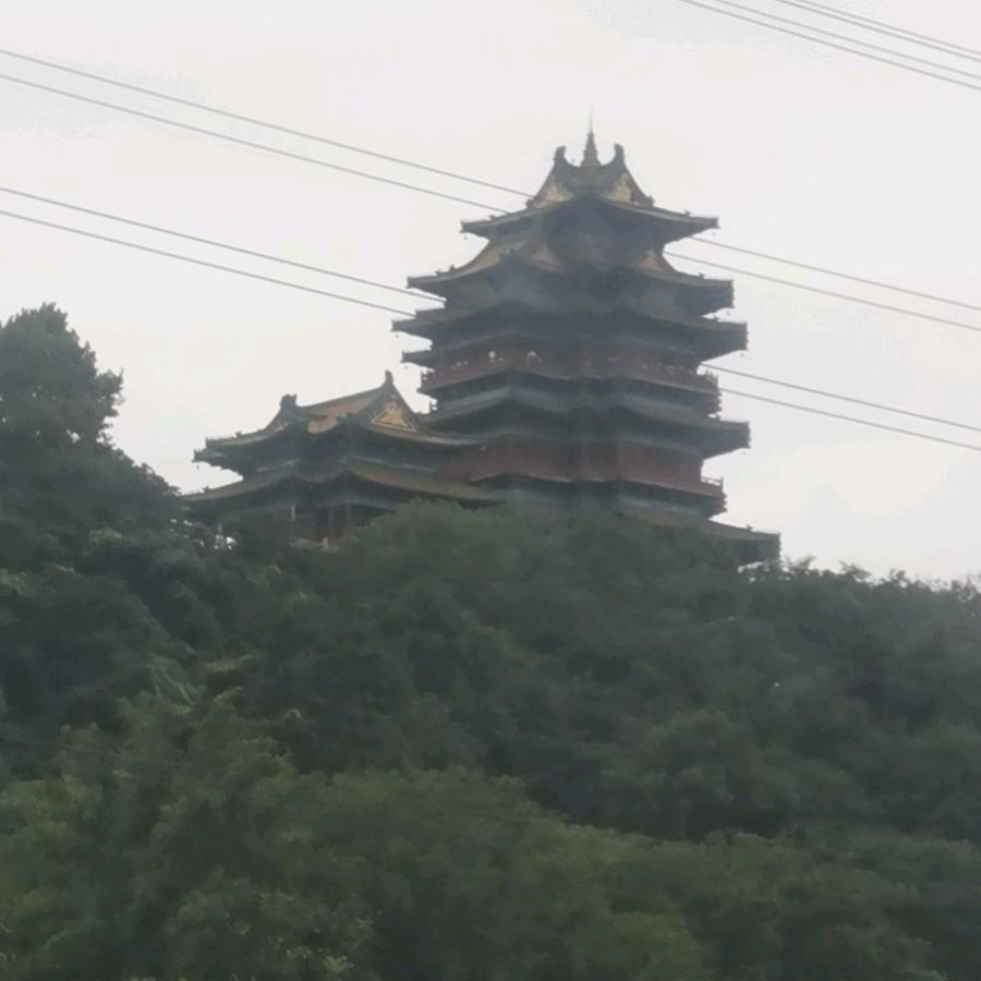 旺仔