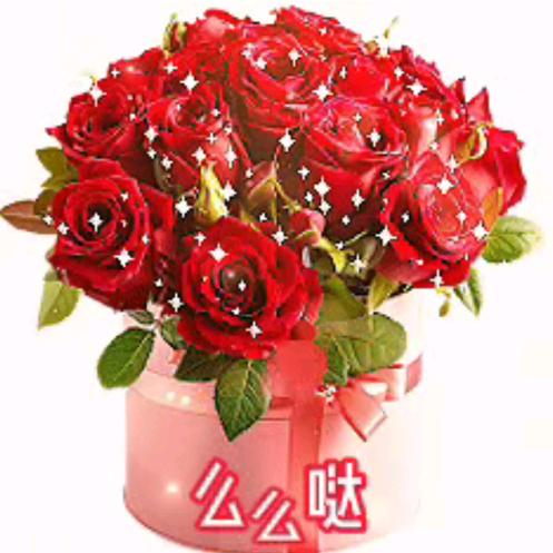 依依🌹🌹