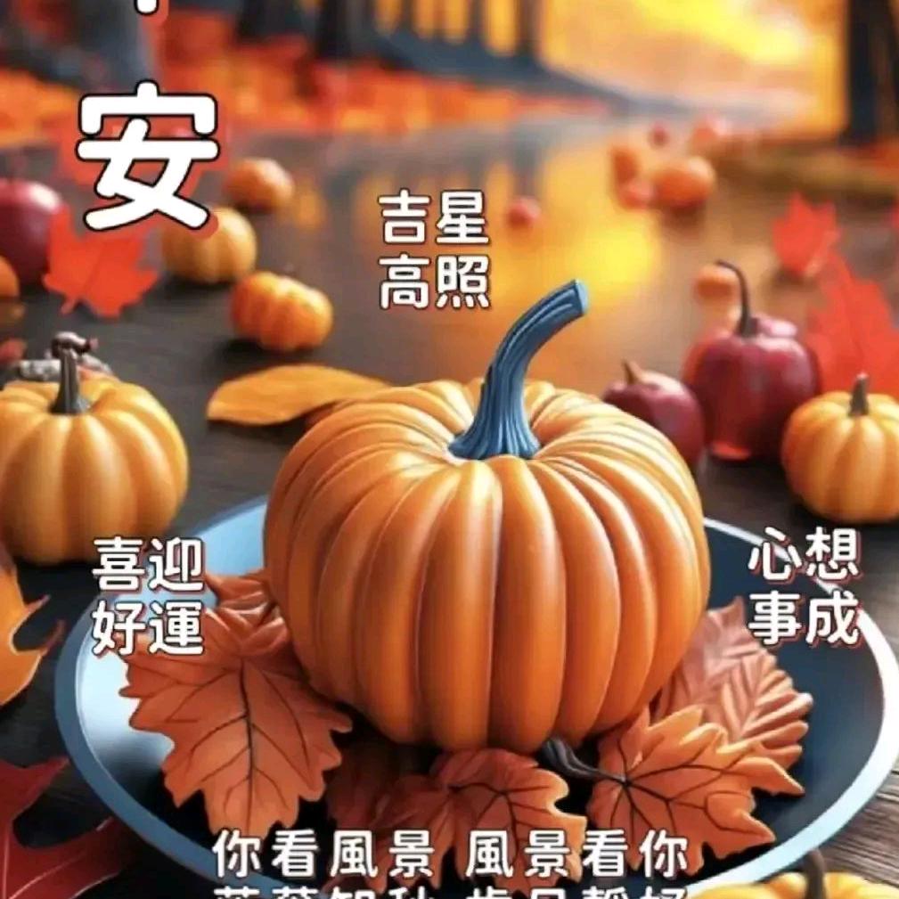 太阳伞