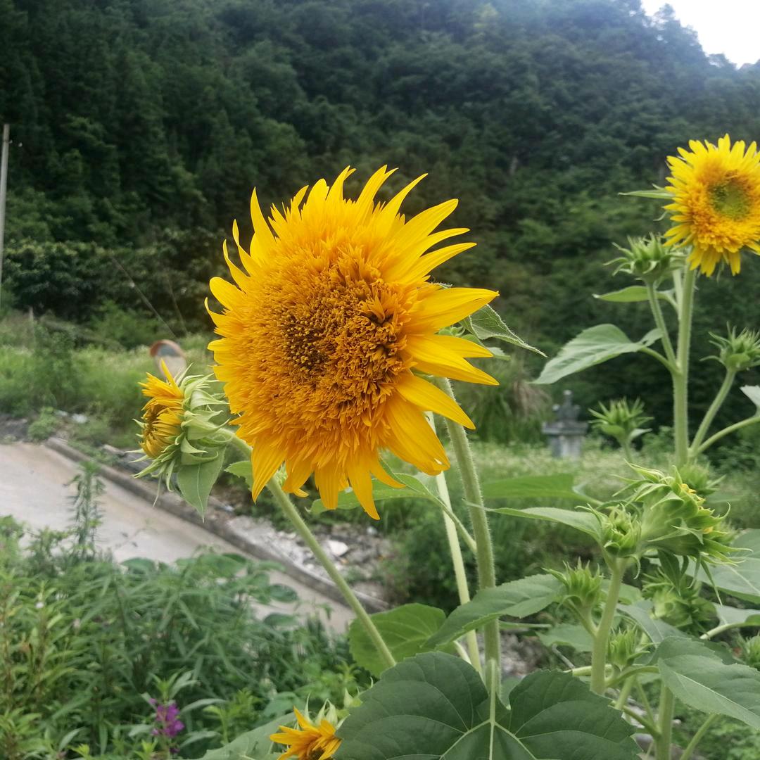 💓🎊好好爱自己🎏