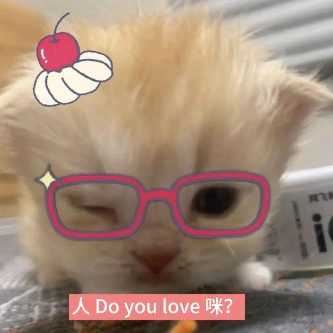 嗝嗝斯特