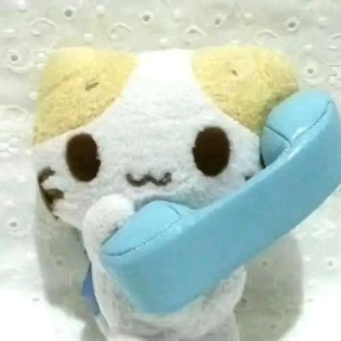 我补药上早八