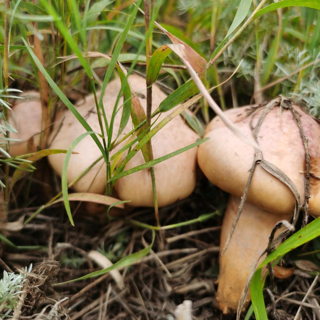 从哪里跌倒就从哪里趴着