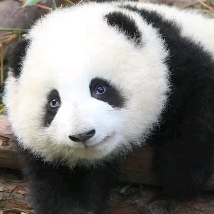 🗡️魂