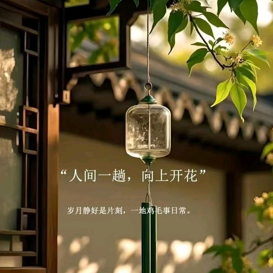 🔥木子🔥¹¹³