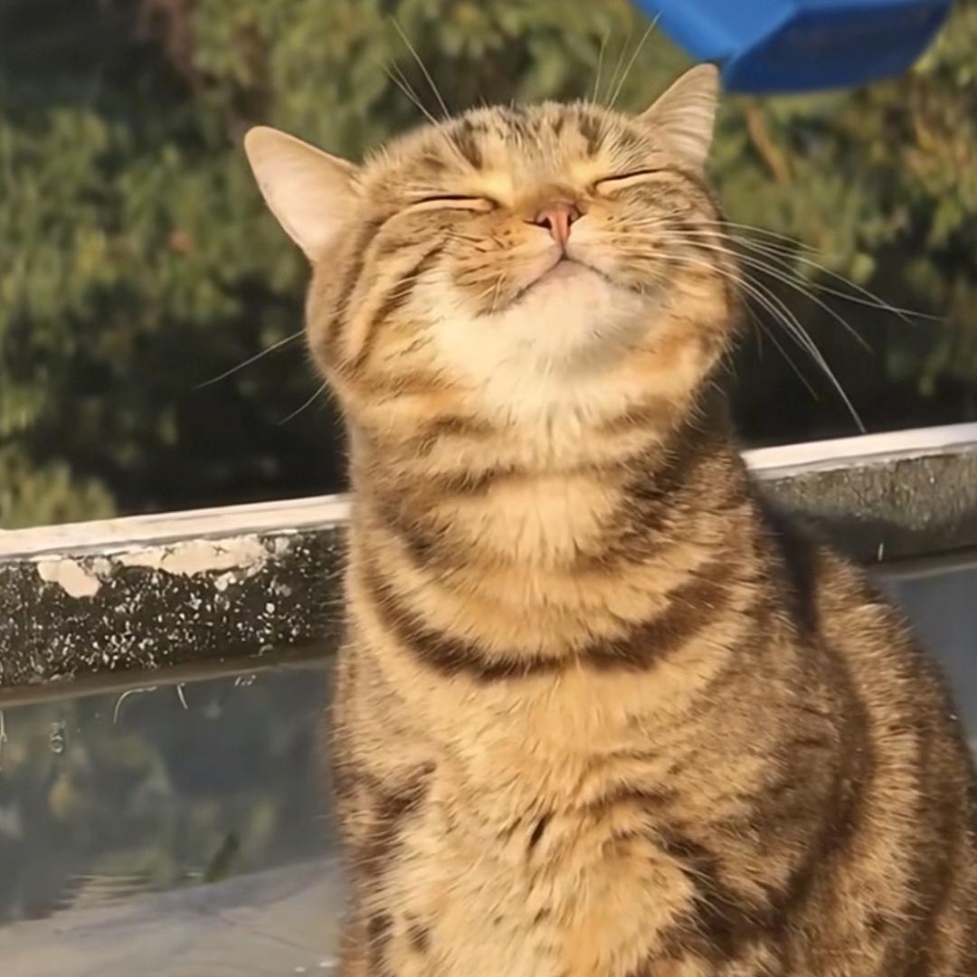 亿点点