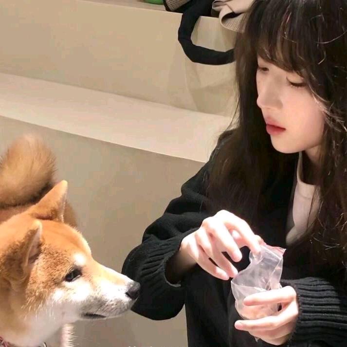 陆陆有好物