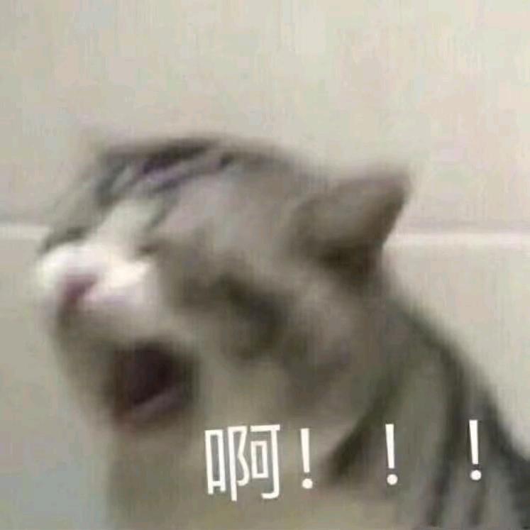 我在临颍很想你