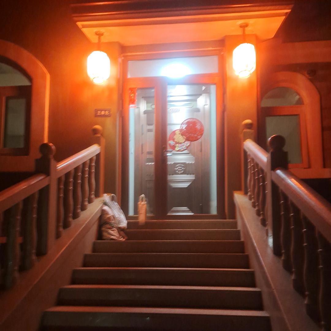 朱.猪珠竺