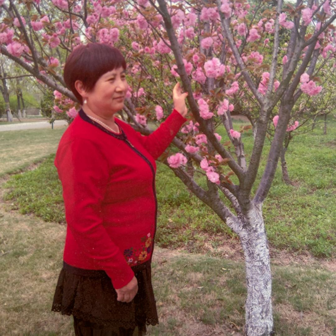 sunxia888