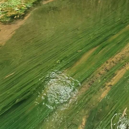 青山不改   绿水长流