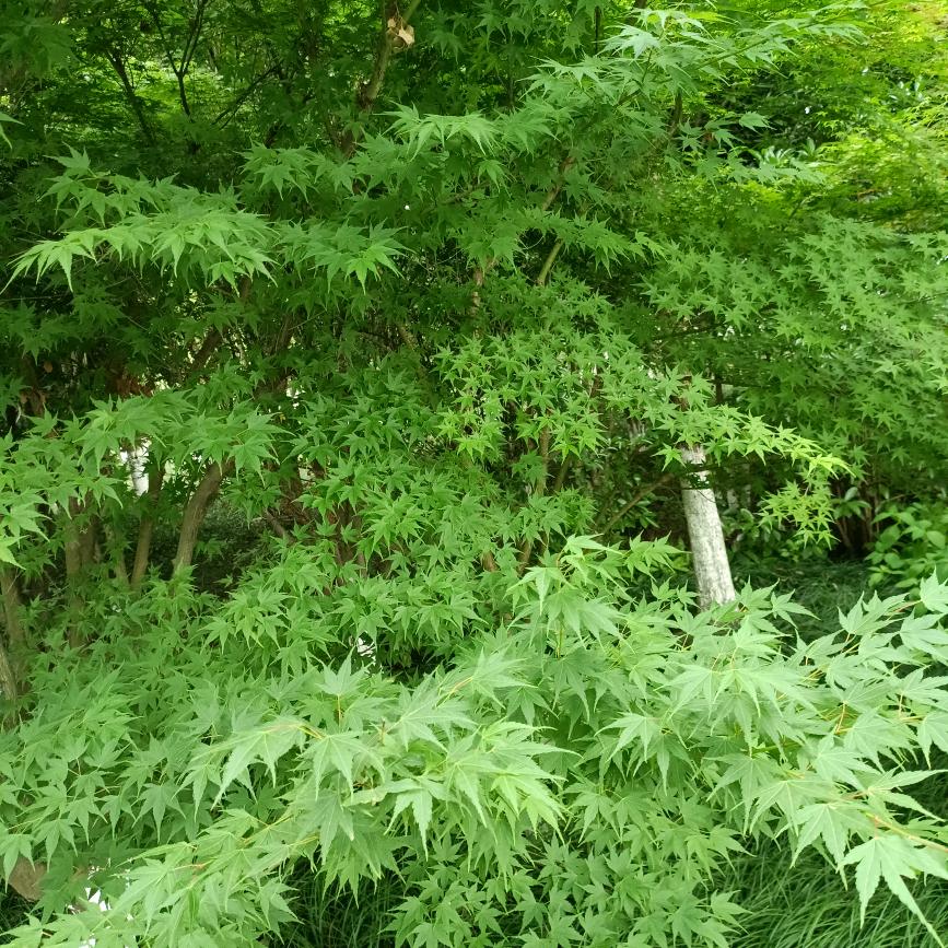 一起奋斗