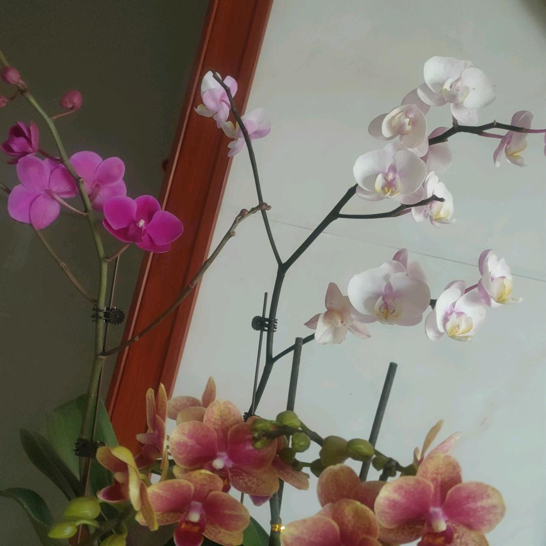 李姐