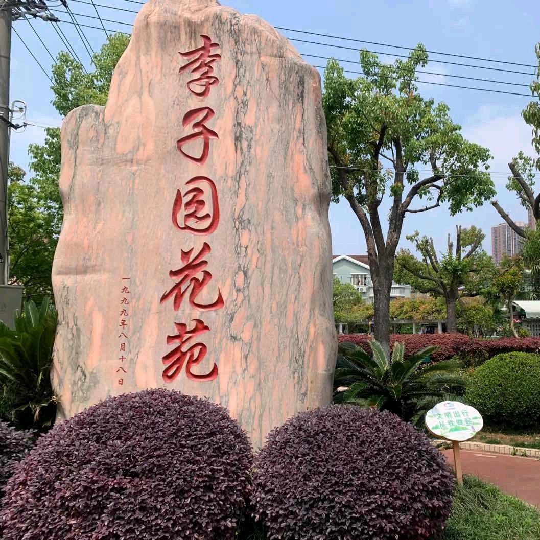 子木书苑