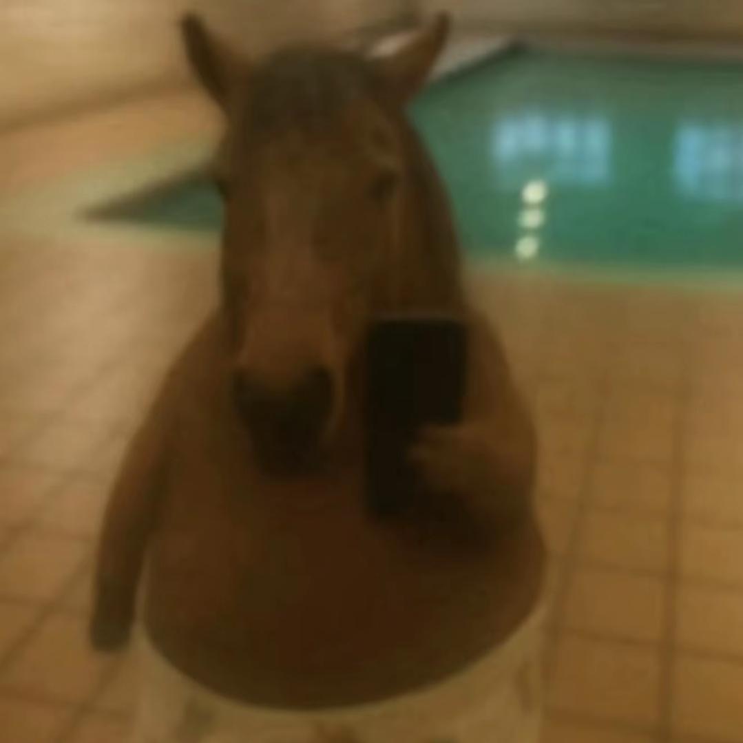 ʕ̯•͡˔•̯᷅ʔ ʕ̯•͡˔•̯᷅ʔ