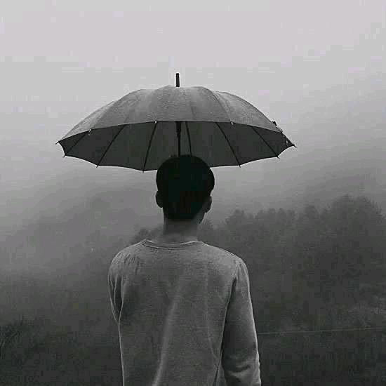 雨笙情感故事