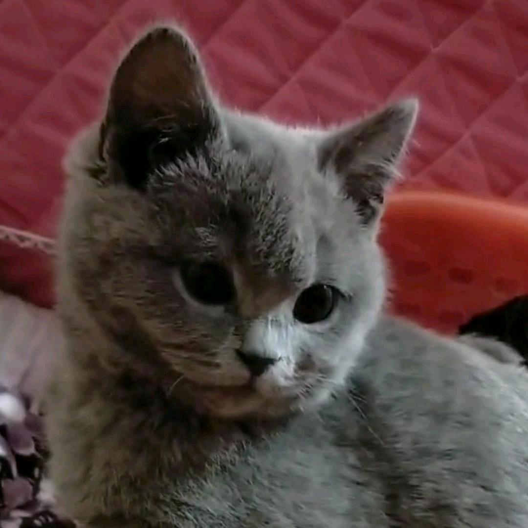 🕊余生安好ℒℴѵℯ·¹³¹⁴ృ༊