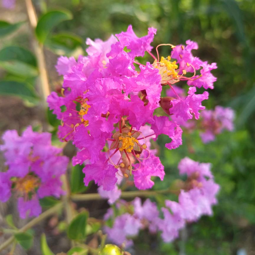 花好月圆🌺🌺
