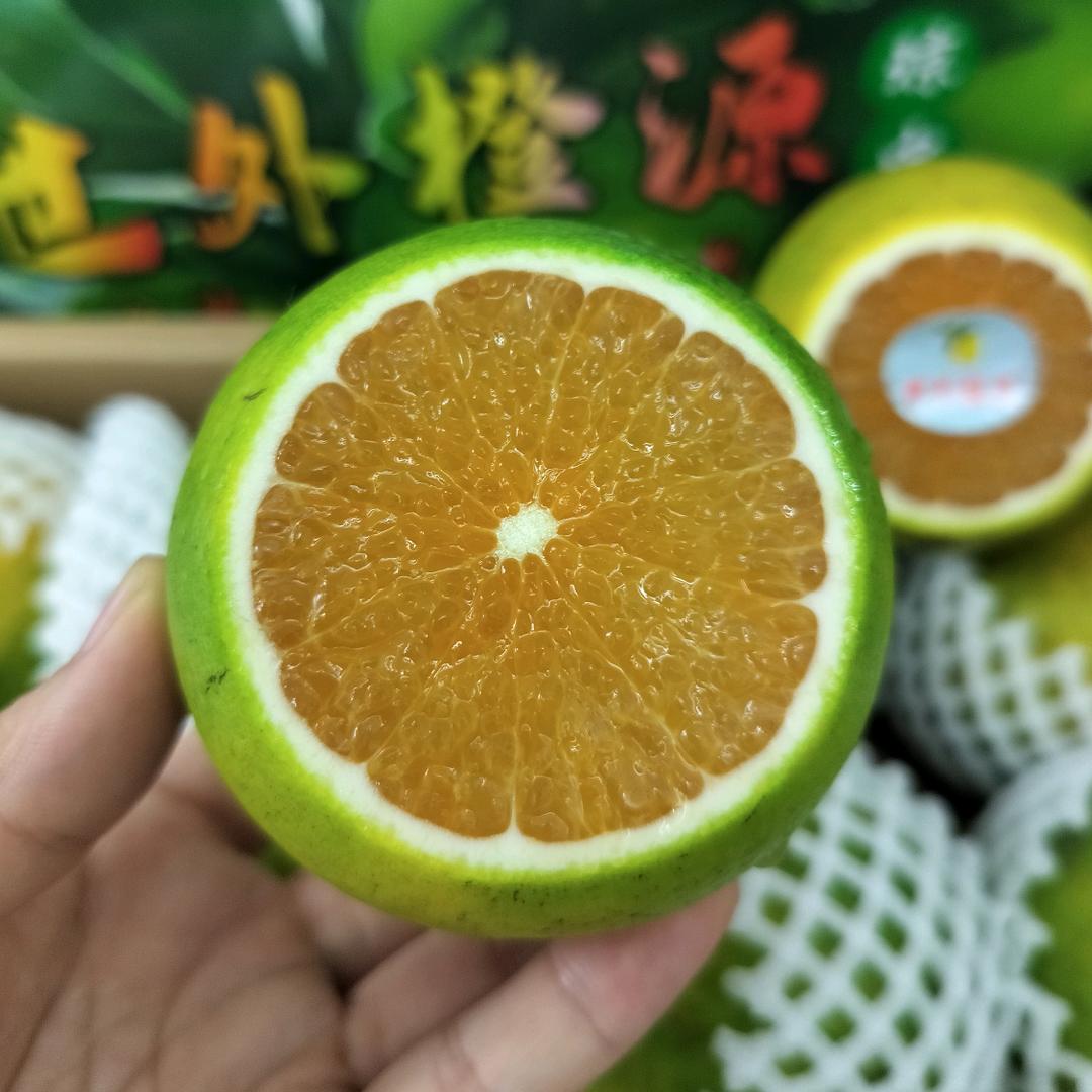 海南沣果农业