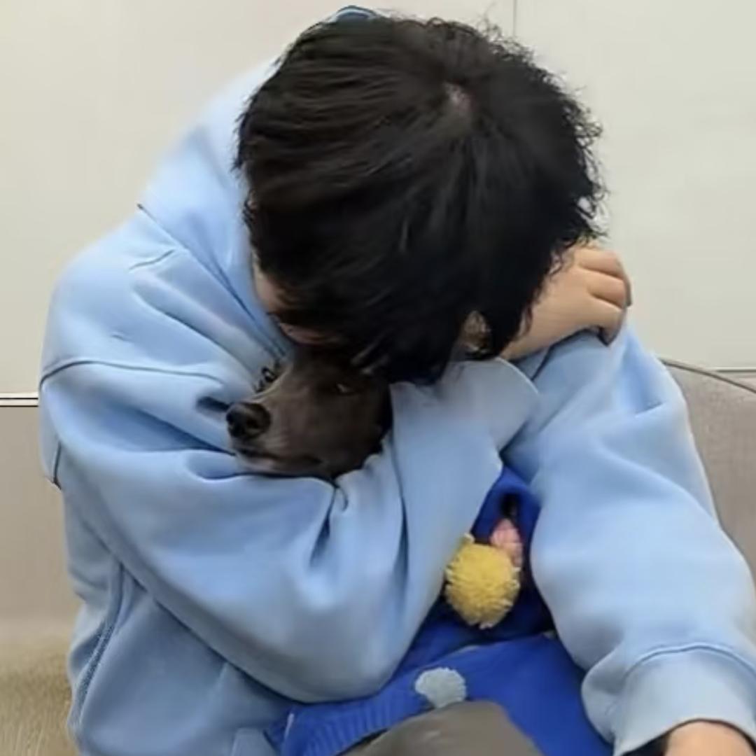 去买两盒紫菜卷_