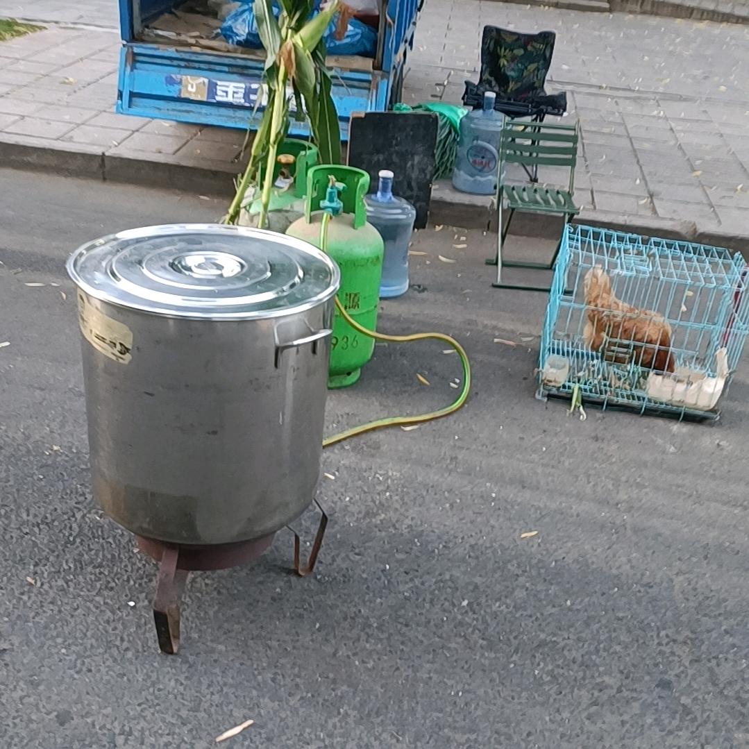 绿色丹江海浪农家园