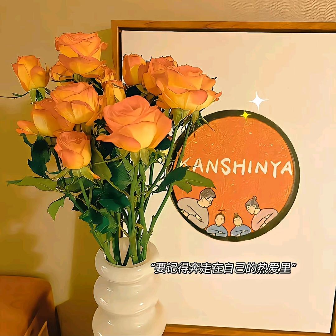 中新国际城樊文花