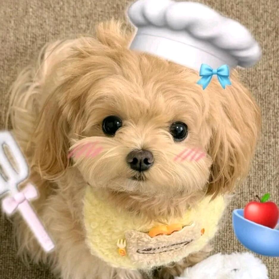 芸豆呀🐾₊⁺