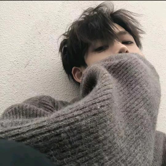 祖国  的   花朵¹