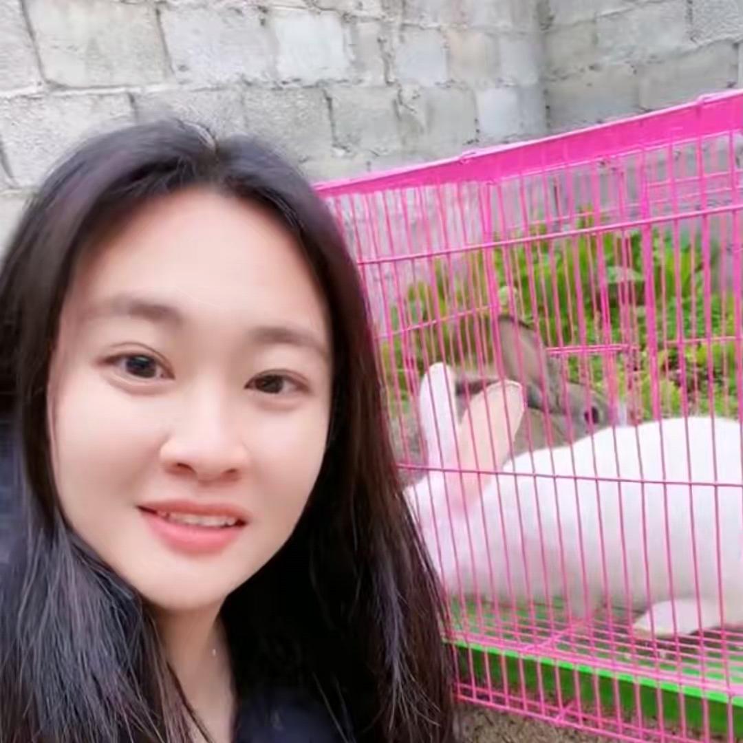 荔江湾五一活动