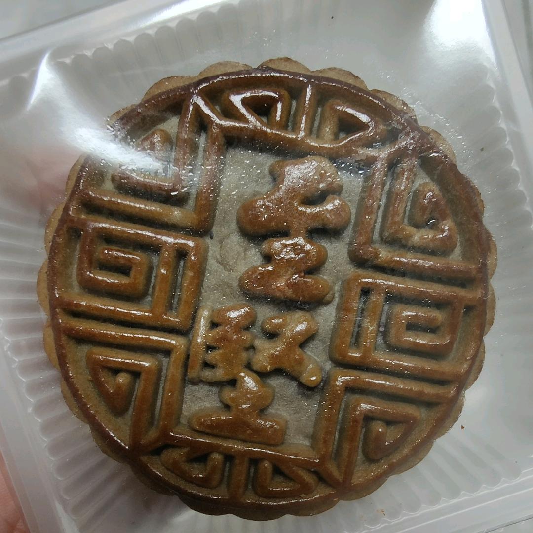 白兰鸽