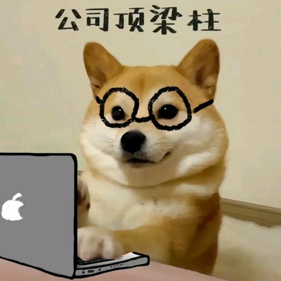 小小小鱼🐟