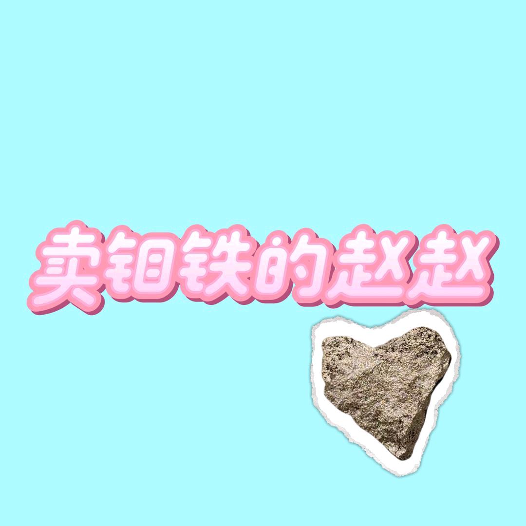 中陕核—赵赵